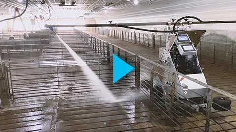 Washing a hog barn in Michigan with the Washpower Washing robot X100
